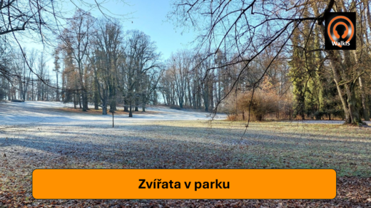 301 001 008 Obrázek.png