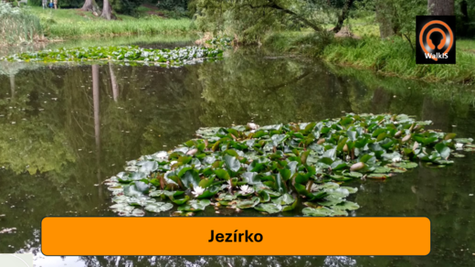 301 001 009 Obrázek.png