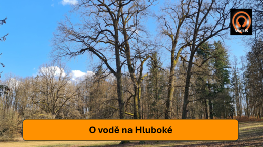 301 001 010 Obrázek.png