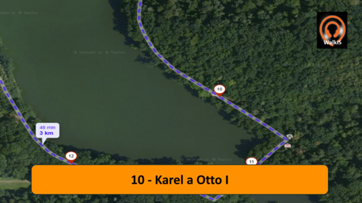 Obr 10 - Karel a Otto I.png