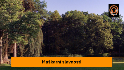 Obrázek10.png