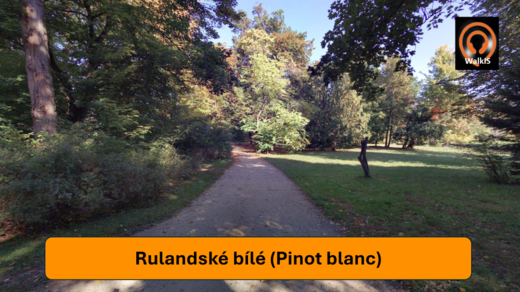 Obrázek14.png
