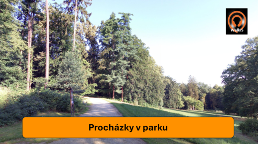 Obrázek16.png
