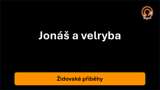 Obrázek9.png